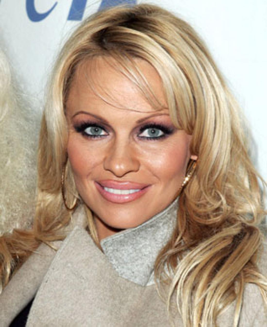 Primer pretankih obrvi, sicer pa je Pamela Anderson lahko predstavnica v več kategorijah, saj ga lomi v skoraj vseh točkah …